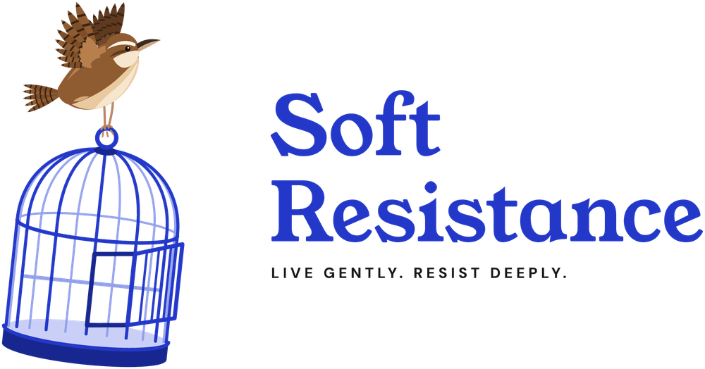 Soft Resistance home